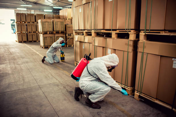 Best Rat Extermination Near Me  in Stony Point, MI
