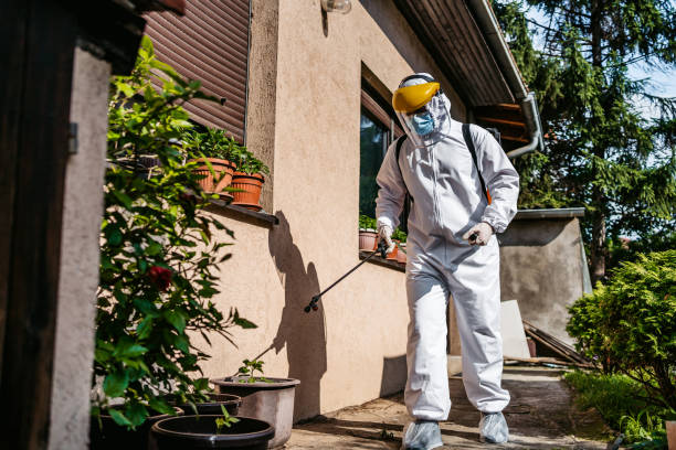 Best Spider Control Near Me  in Stony Point, MI