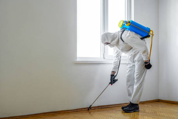 Best Local Pest Control Services  in Stony Point, MI
