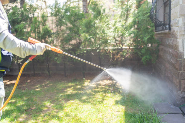 Best Commercial Pest Control Services  in Stony Point, MI
