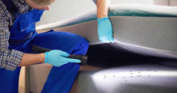 Best Best Pest Control Companies  in Stony Point, MI