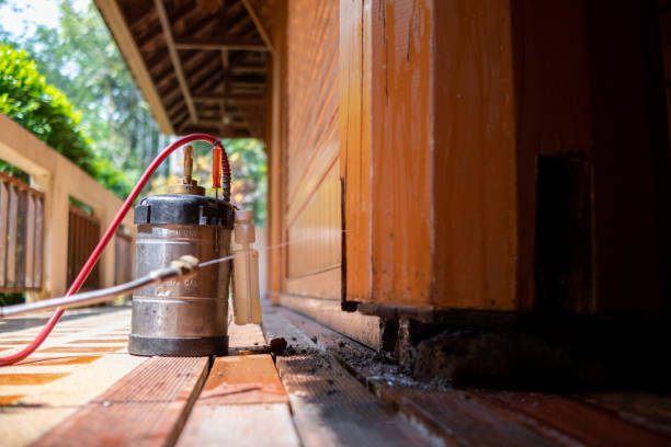 Best Cockroach Control Services  in Stony Point, MI
