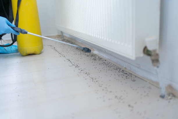 Best Pest Prevention Services  in Stony Point, MI