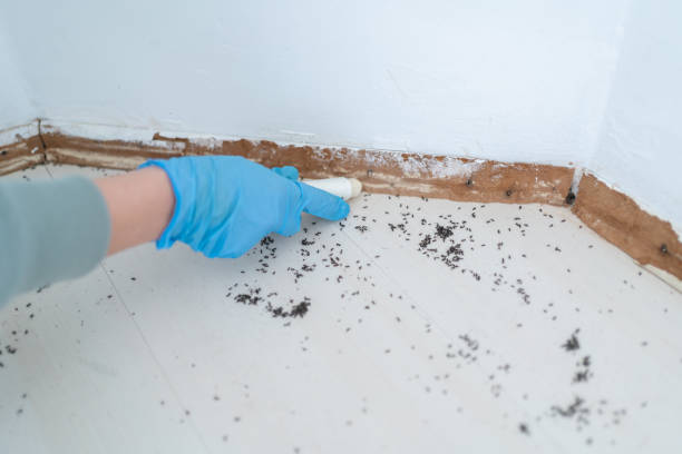 Best Pest Inspection Near Me  in Stony Point, MI